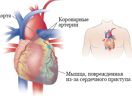 Как найти свое предназначение души - Сайт, где вы сможете решить свои вопросы
