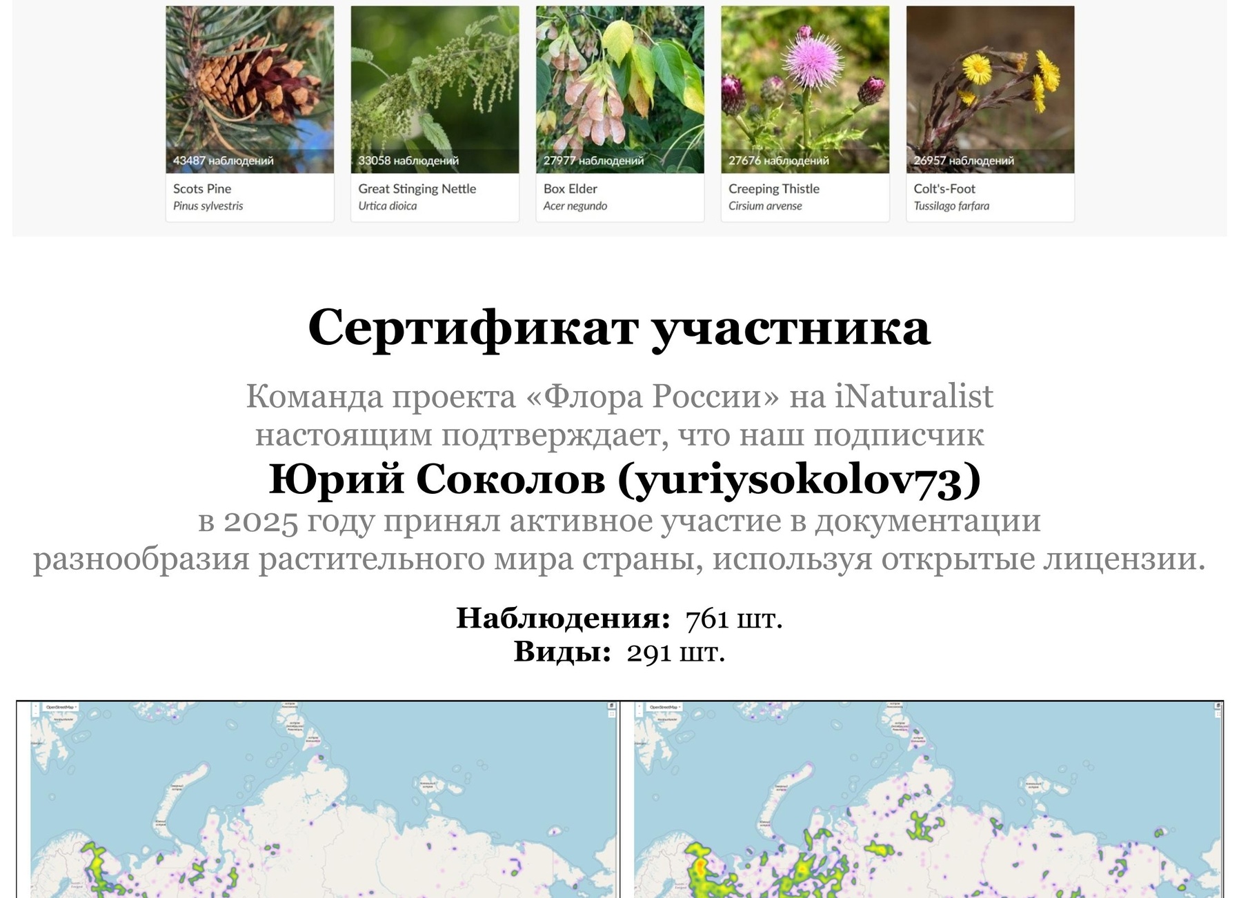 Как найти любимый василек - Сайт, где вы сможете решить свои вопросы Как найти любимый василек - Сайт, где вы сможете решить свои вопросы